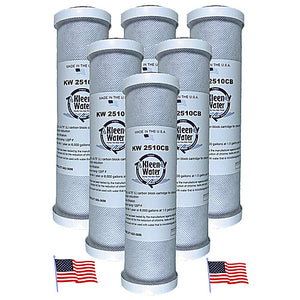 Six Pentek EP-10 Compatible 2.5 x 9.75 Inch Carbon Block Water Filters