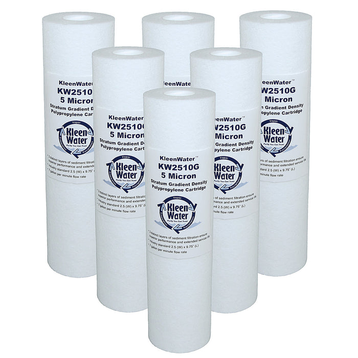Six Pentek P5 Compatible Water Filters - 2.5 x 9.75 Inch - 5 Micron