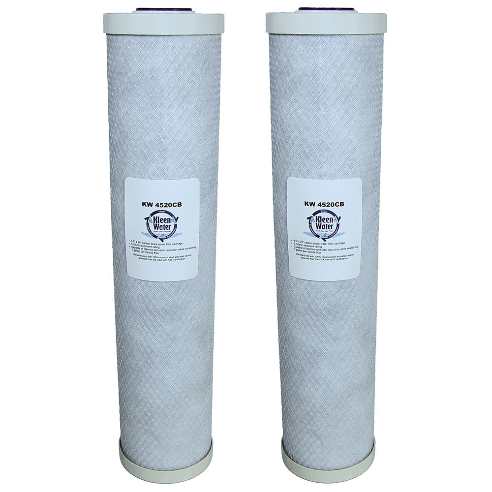 Two Pentek EP-20BB Compatible Filters - 4.5 x 20 Inch Carbon Block